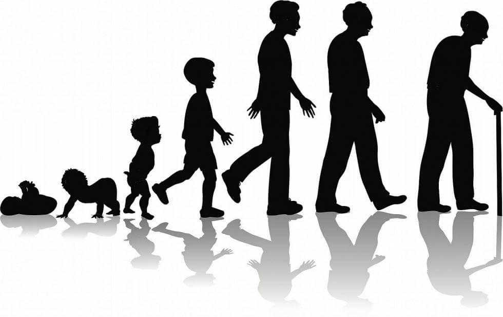 پاورپوینت روانشناسی رشد (1)