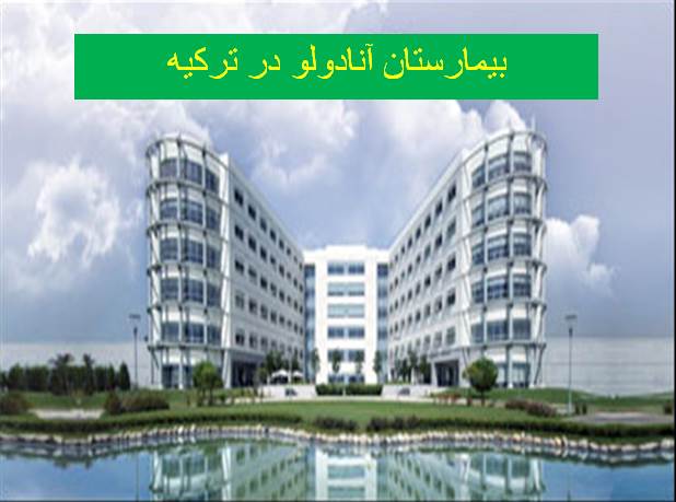 پاورپوینت بیمارستان آنادولو در ترکیه