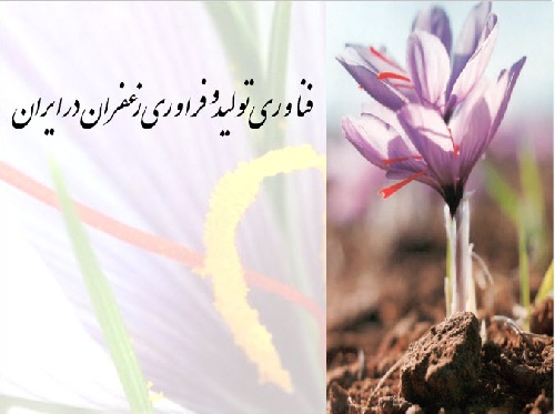 پاورپوینت فناوری تولید و فرآوری زعفران در ایران