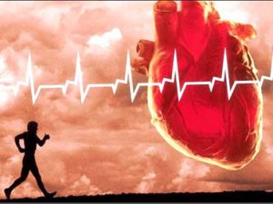 پاورپوینت نارسایی احتقانی قلب (CHF) کورپولمونال (قلب-ریوی)