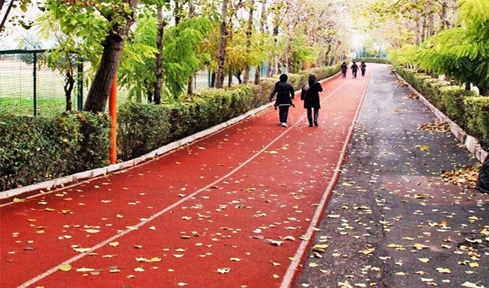 پاورپوینت طراحی مسیر پیاده